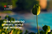 Barra do Ribeiro - RS